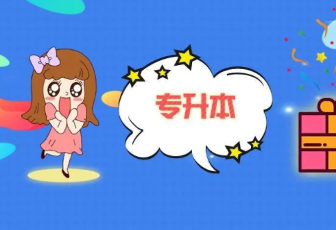 动画专升本学什么